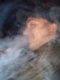 Fraser Sexy Singles Site